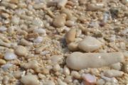 Puka Shell Beach Boracay